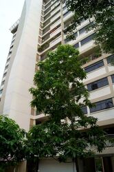 Blk 5 Mount Faber Green (Bukit Merah), HDB 3 Rooms #564241061